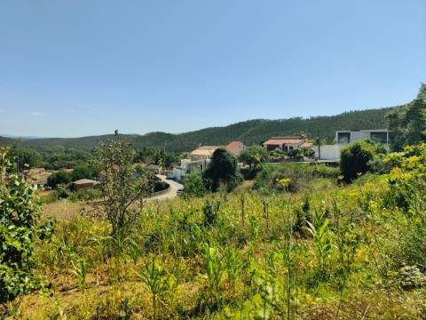 Terreno para venda  em  Albergaria-a-Velha.