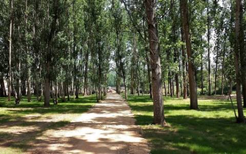 Terreno para venda  em  Albergaria-a-Velha.