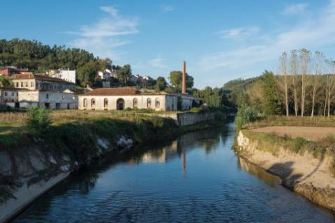 Terreno para venda  em  Albergaria-a-Velha.