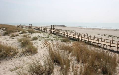 Terreno - Vista Ria - Torreira