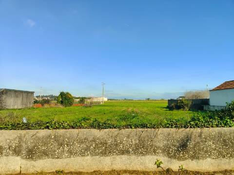 Terreno para venda em Oliveirinha