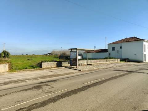 Terreno para venda em Oliveirinha