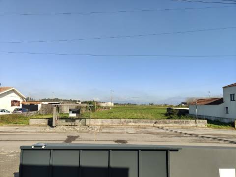 Terreno para venda em Oliveirinha