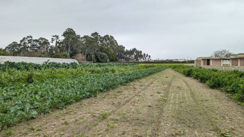 Terreno para Construção - Aveiro