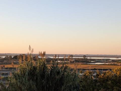 Apartamento T2 - Vista Ria