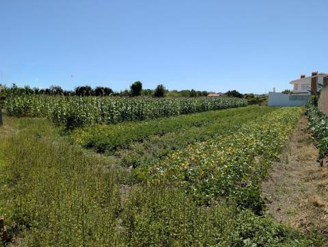 Terrenos p/ Construção de Moradias - São Bernardo