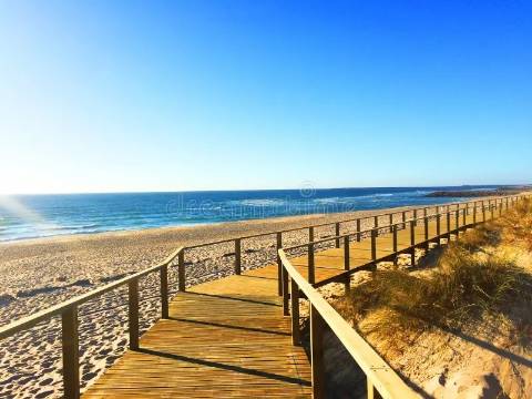 Apartamento T2 - Praia da Barra (200m da praia)