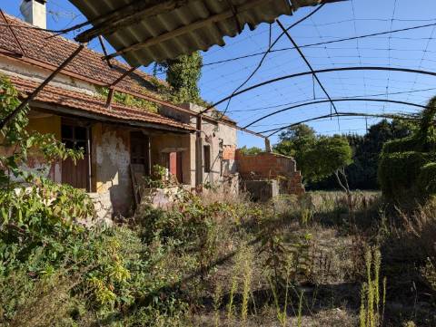 Moradia T3 para Restaurar em Mataduços – Esgueira