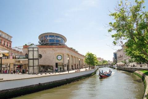 Arrendamento Apartamento T0