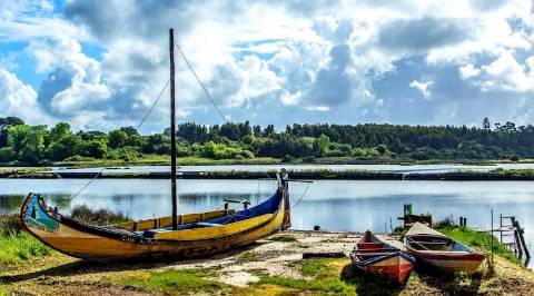 Moradia T4 Geminada - Vagos