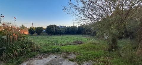 Moradia  Venda em Silva,Barcelos