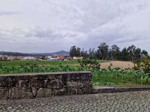 Terreno  Venda em Carvalhal,Barcelos