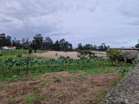 Terreno  Venda em Carvalhal,Barcelos