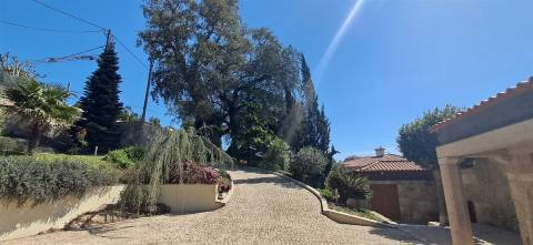 Moradia  Venda em Airó,Barcelos