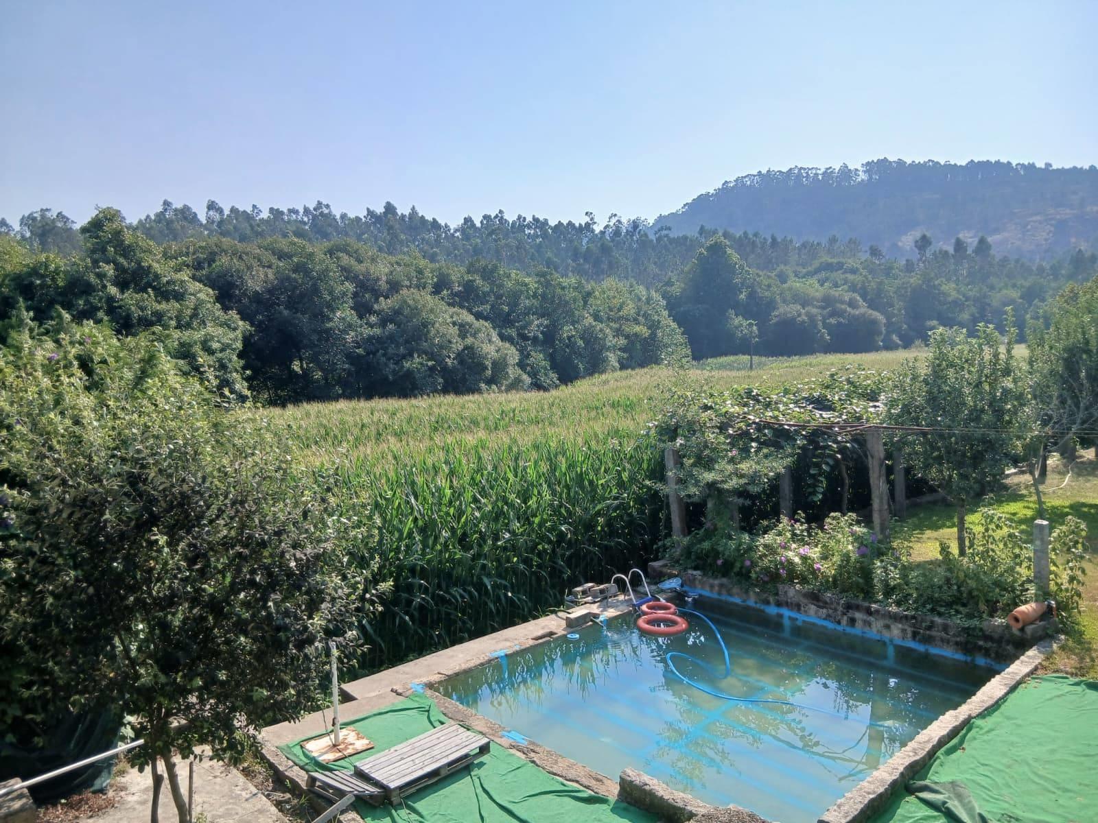 Quinta  Venda em Panque,Barcelos