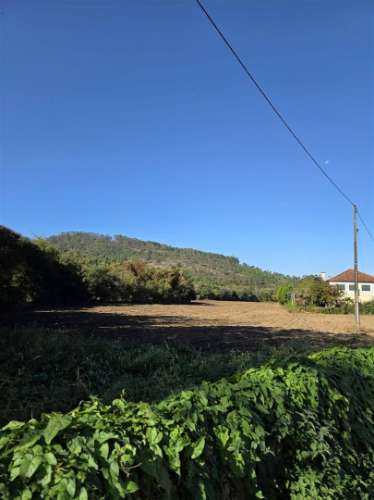 Quinta  Venda em Panque,Barcelos