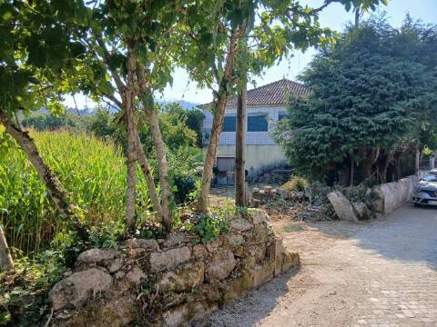 Quinta  Venda em Panque,Barcelos