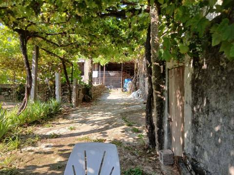 Quinta  Venda em Panque,Barcelos
