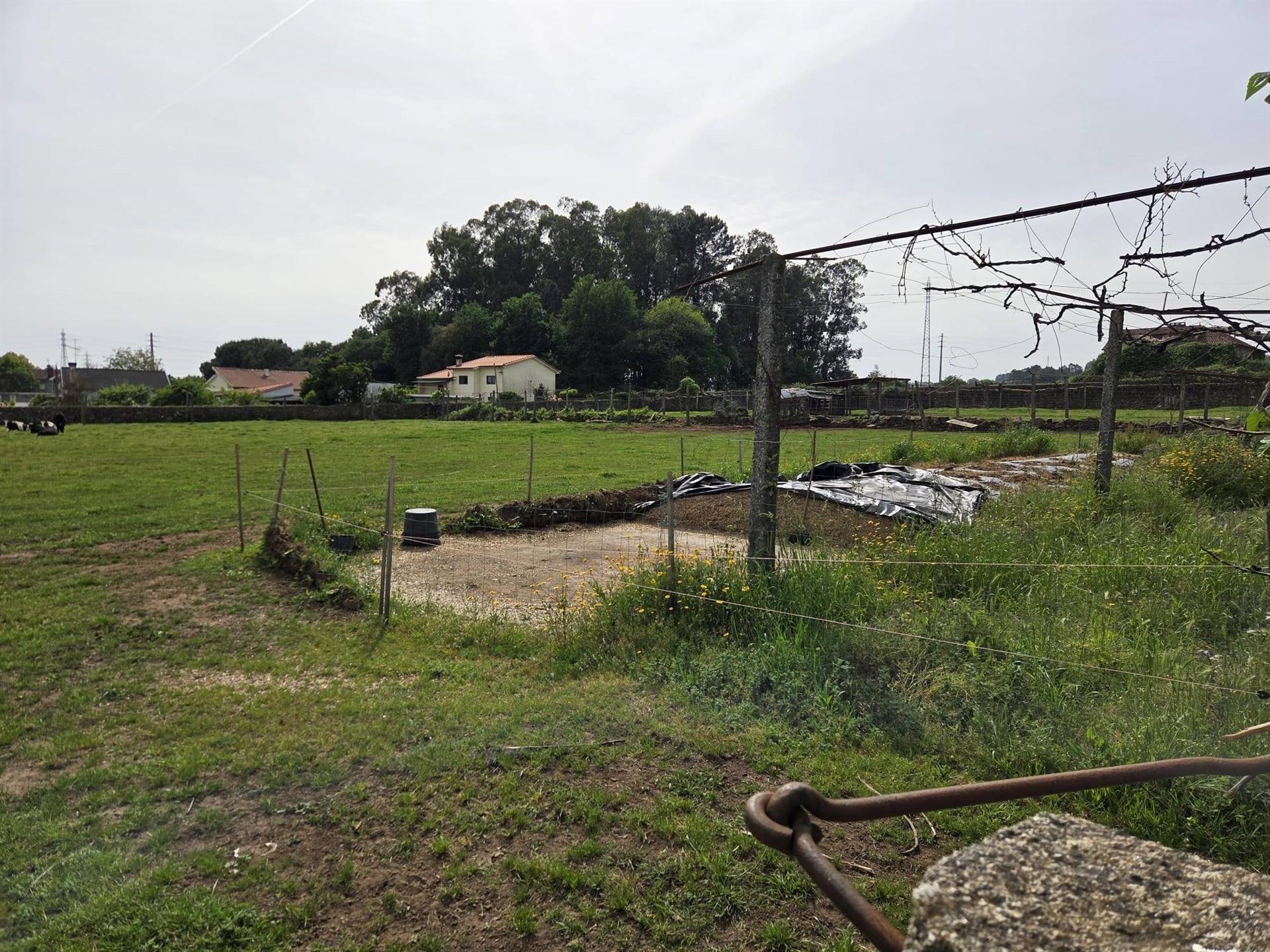 Terreno Para Construção  Venda em Arcozelo,Barcelos