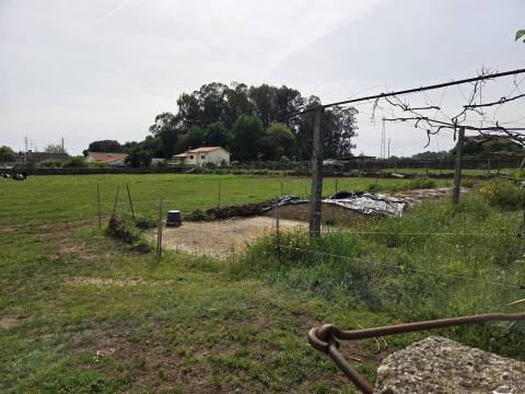 Terreno Para Construção  Venda em Arcozelo,Barcelos