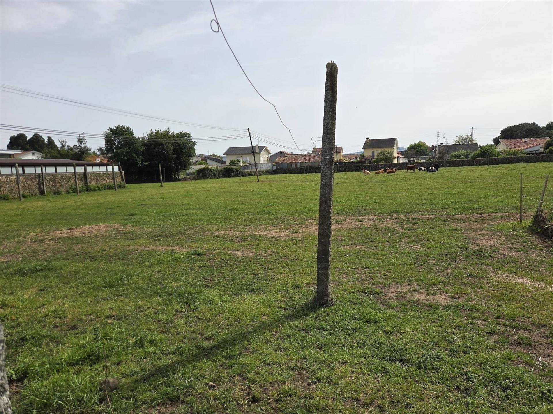 Terreno Para Construção  Venda em Arcozelo,Barcelos