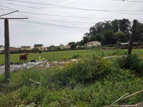 Terreno Para Construção  Venda em Arcozelo,Barcelos