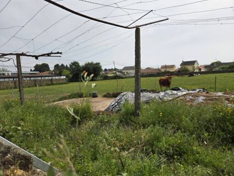 Terreno Para Construção  Venda em Arcozelo,Barcelos