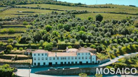 Propriedade de 3ha Casa Brasonada Século XVII em zona património mundial UNESCO, para VENDA