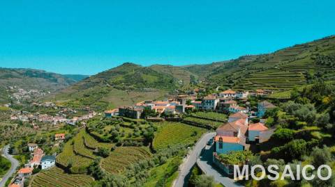 Propriedade de 3ha Casa Brasonada Século XVII em zona património mundial UNESCO, para VENDA