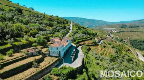 Propriedade de 3ha Casa Brasonada Século XVII em zona património mundial UNESCO, para VENDA