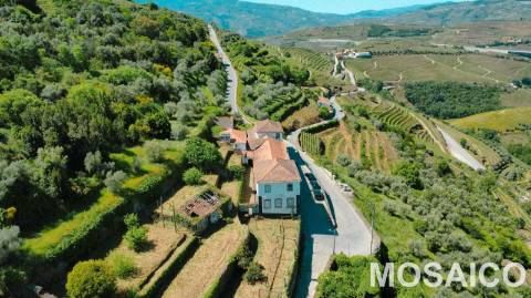 Propriedade de 3ha Casa Brasonada Século XVII em zona património mundial UNESCO, para VENDA