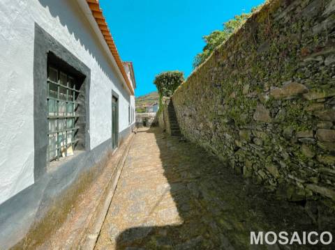Propriedade de 3ha Casa Brasonada Século XVII em zona património mundial UNESCO, para VENDA
