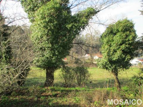 Terreno Misto T3 Venda em Serzedo e Perosinho,Vila Nova de Gaia