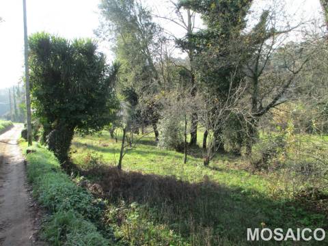 Terreno Misto T3 Venda em Serzedo e Perosinho,Vila Nova de Gaia