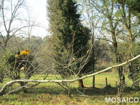Terreno Misto T3 Venda em Serzedo e Perosinho,Vila Nova de Gaia