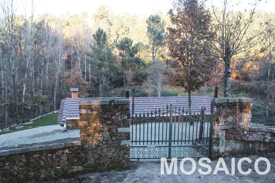 Terreno Rústico  Venda em São Miguel do Mato,Arouca