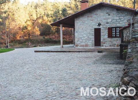 Terreno Rústico  Venda em São Miguel do Mato,Arouca