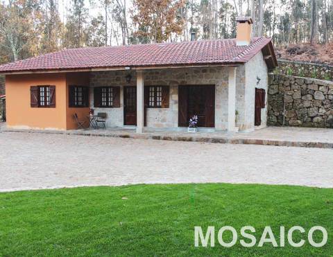 Terreno Rústico  Venda em São Miguel do Mato,Arouca