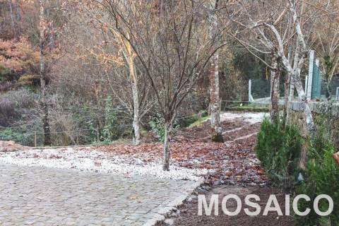 Terreno Rústico  Venda em São Miguel do Mato,Arouca