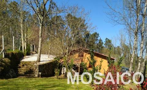 Terreno Rústico  Venda em São Miguel do Mato,Arouca