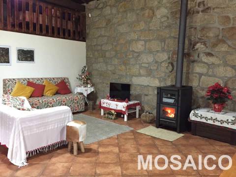 Terreno Rústico  Venda em São Miguel do Mato,Arouca