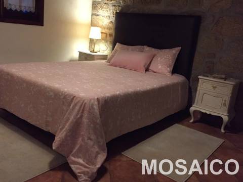 Terreno Rústico  Venda em São Miguel do Mato,Arouca