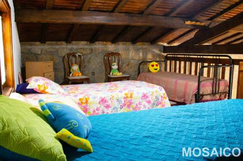 Terreno Rústico  Venda em São Miguel do Mato,Arouca