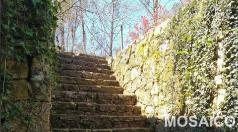 Terreno Rústico  Venda em São Miguel do Mato,Arouca