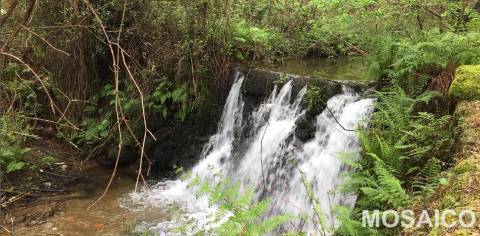 Terreno Rústico  Venda em São Miguel do Mato,Arouca