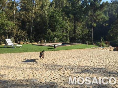 Terreno Rústico  Venda em São Miguel do Mato,Arouca