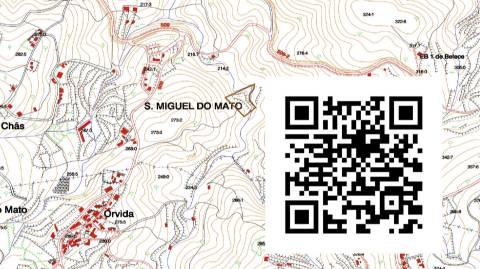 Terreno Rústico  Venda em São Miguel do Mato,Arouca