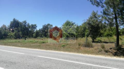 Terreno Rústico  Venda em Sabugal e Aldeia de Santo António,Sabugal