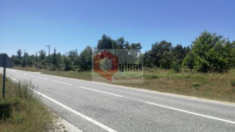 Terreno Rústico  Venda em Sabugal e Aldeia de Santo António,Sabugal