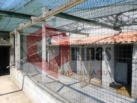 Quintinha T3 Venda em Sabugal e Aldeia de Santo António,Sabugal